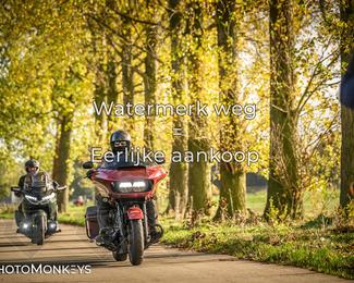 Herfstrit Moerzeke photo