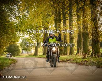 Herfstrit Moerzeke photo