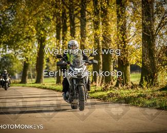 Herfstrit Moerzeke photo