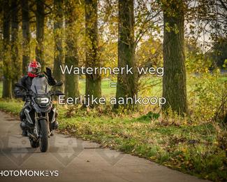 Herfstrit Moerzeke photo