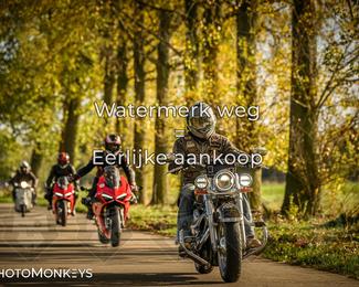 Herfstrit Moerzeke photo