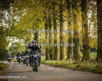 Herfstrit Moerzeke photo