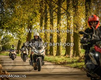 Herfstrit Moerzeke photo