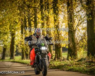 Herfstrit Moerzeke photo