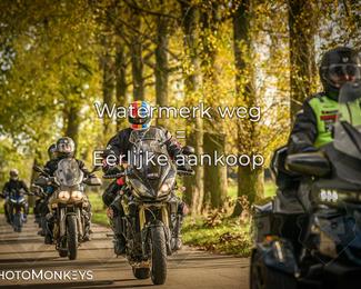 Herfstrit Moerzeke photo