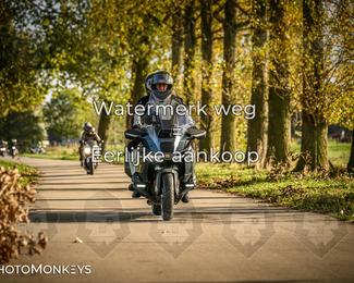 Herfstrit Moerzeke photo