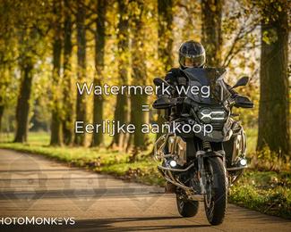 Herfstrit Moerzeke photo