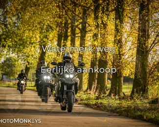 Herfstrit Moerzeke photo