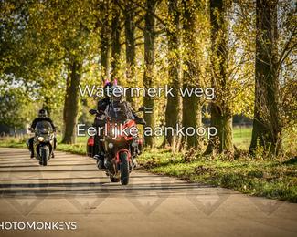 Herfstrit Moerzeke photo