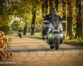 Herfstrit Moerzeke photo