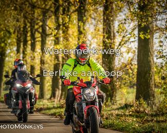 Herfstrit Moerzeke photo