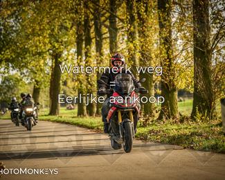 Herfstrit Moerzeke photo