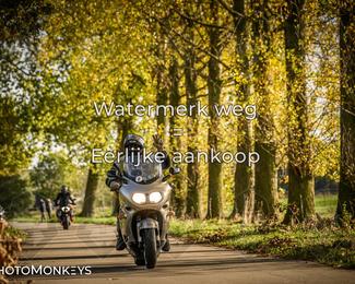 Balade d’automne Moerzeke photo