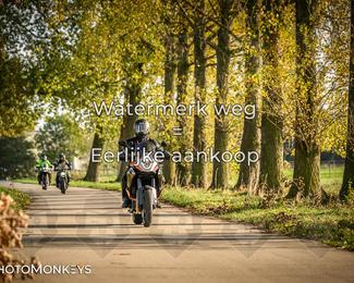 Herfstrit Moerzeke photo