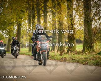 Balade d’automne Moerzeke photo