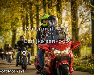 Herfstrit Moerzeke photo