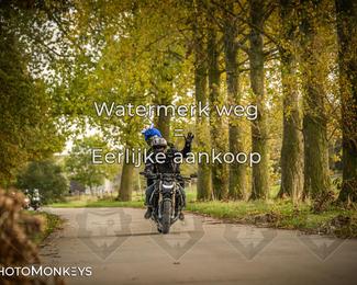 Herfstrit Moerzeke photo