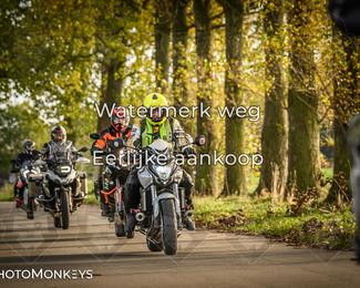 Herfstrit Moerzeke photo