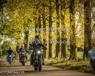 Balade d’automne Moerzeke photo