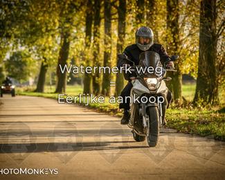 Herfstrit Moerzeke photo