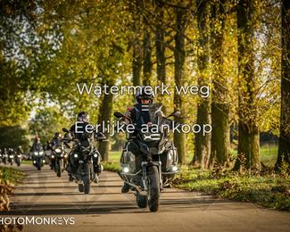 Herfstrit Moerzeke photo