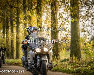 Herfstrit Moerzeke photo