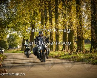 Herfstrit Moerzeke photo