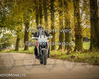 Herfstrit Moerzeke photo