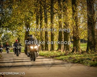 Herfstrit Moerzeke photo