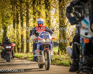 Herfstrit Moerzeke photo