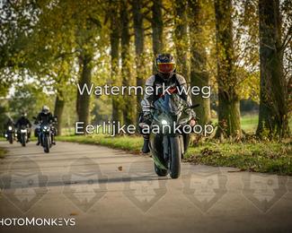 Herfstrit Moerzeke photo