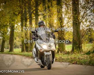 Balade d’automne Moerzeke photo