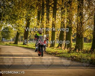 Herfstrit Moerzeke photo