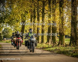 Herfstrit Moerzeke photo