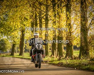 Herfstrit Moerzeke photo