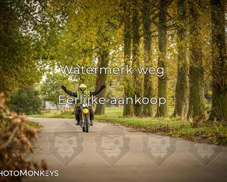 Herfstrit Moerzeke photo