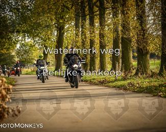 Herfstrit Moerzeke photo