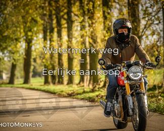 Herfstrit Moerzeke photo