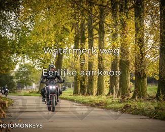 Herfstrit Moerzeke photo