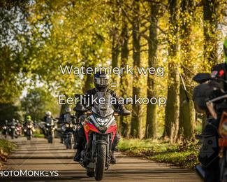 Herfstrit Moerzeke photo