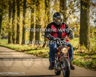 Herfstrit Moerzeke photo