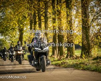 Herfstrit Moerzeke photo