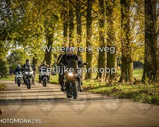 Herfstrit Moerzeke photo