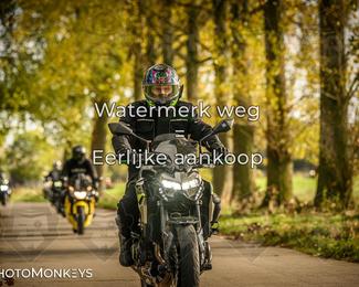 Herfstrit Moerzeke photo