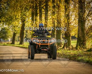 Herfstrit Moerzeke photo