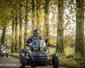 Balade d’automne Moerzeke photo