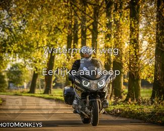 Herfstrit Moerzeke photo