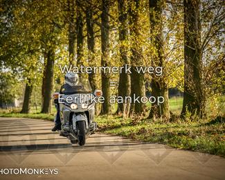 Herfstrit Moerzeke photo