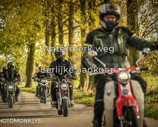 Herfstrit Moerzeke photo