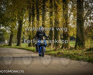 Herfstrit Moerzeke photo